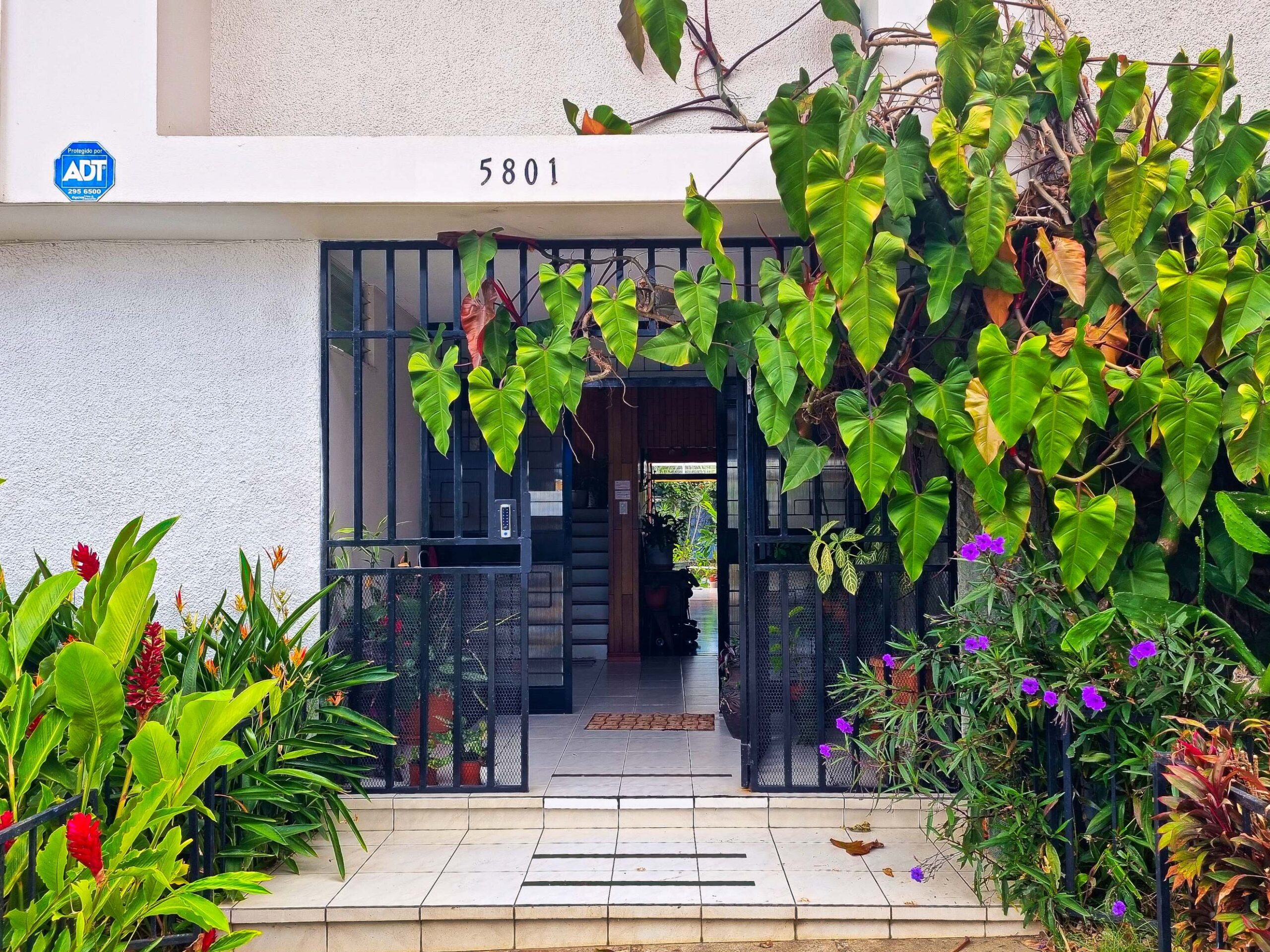 Entrada Casa Jardín del Mango