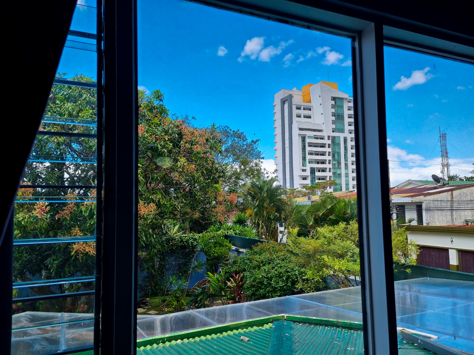 Garden view